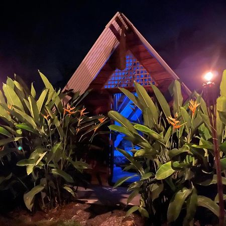 ホテル Bewak Cr トルトゥゲーロ エクステリア 写真