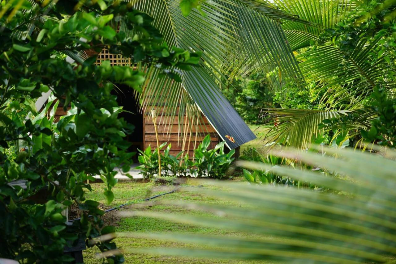 ホテル Bewak Cr トルトゥゲーロ エクステリア 写真