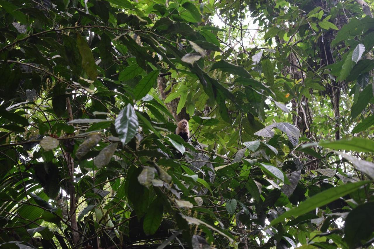 ホテル Bewak Cr トルトゥゲーロ エクステリア 写真