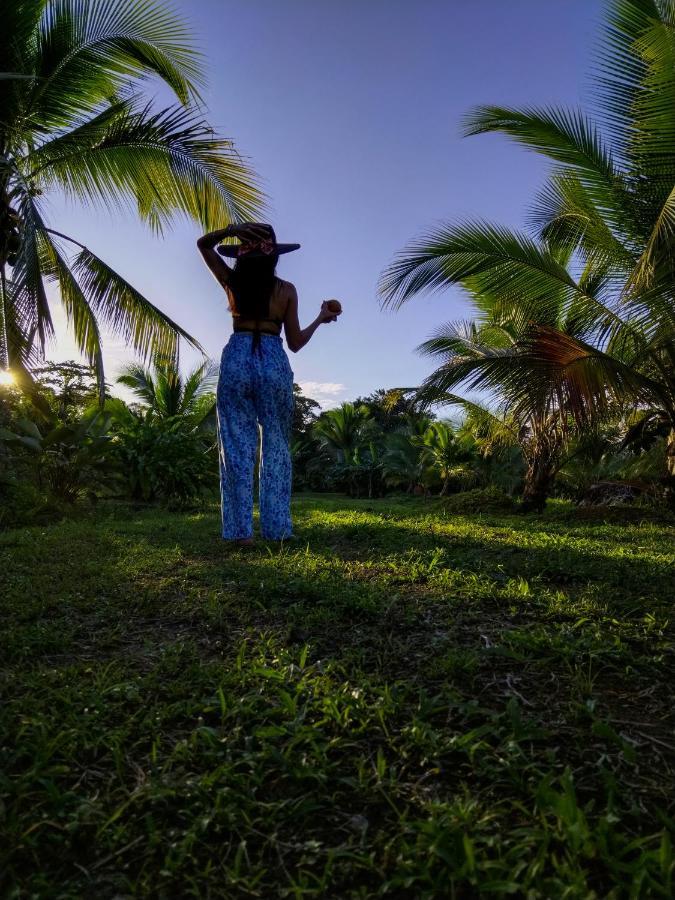 ホテル Bewak Cr トルトゥゲーロ エクステリア 写真