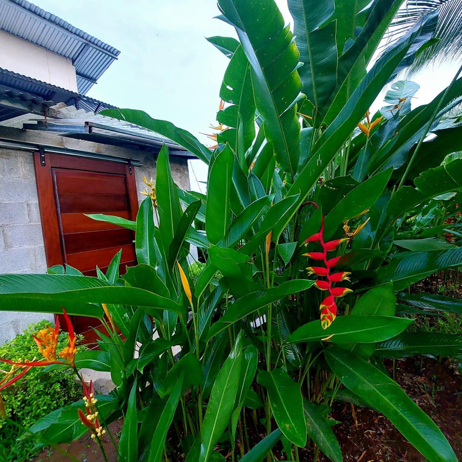 ホテル Bewak Cr トルトゥゲーロ エクステリア 写真