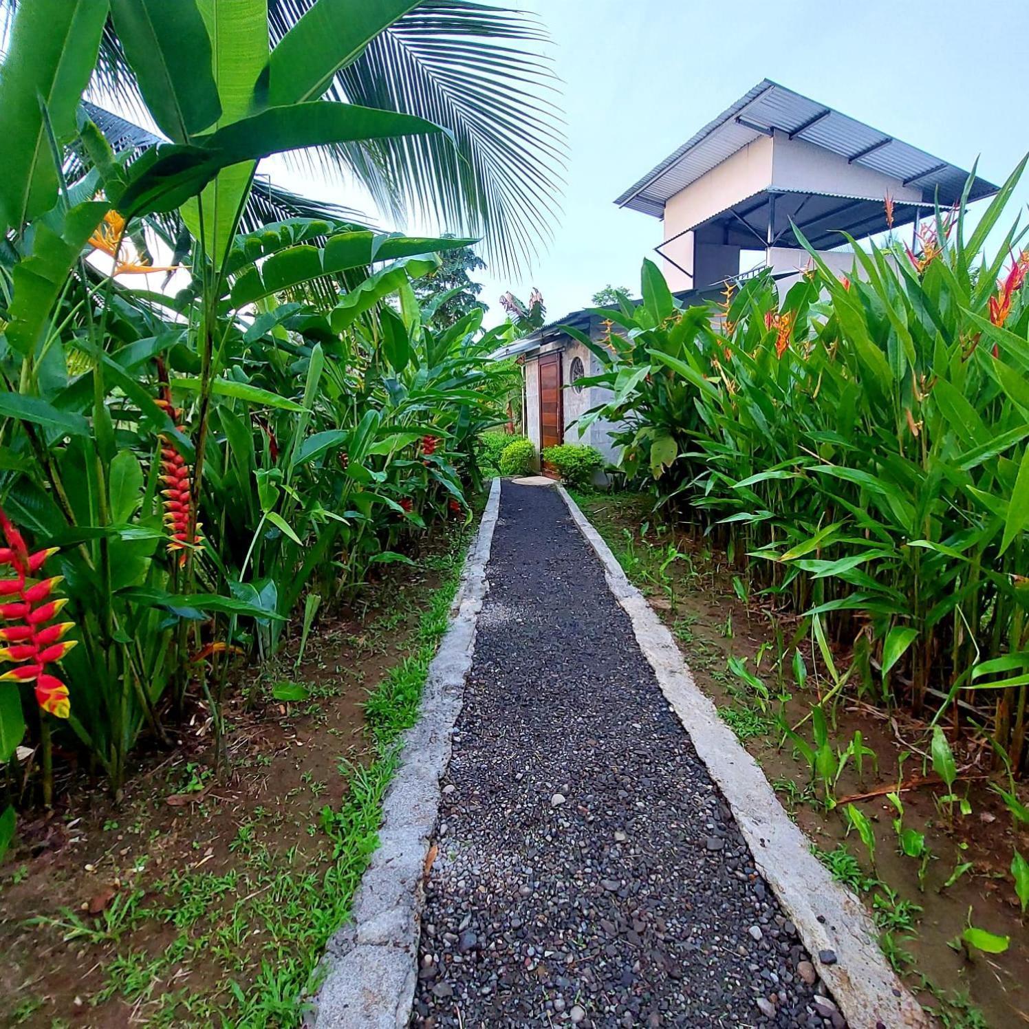 ホテル Bewak Cr トルトゥゲーロ エクステリア 写真